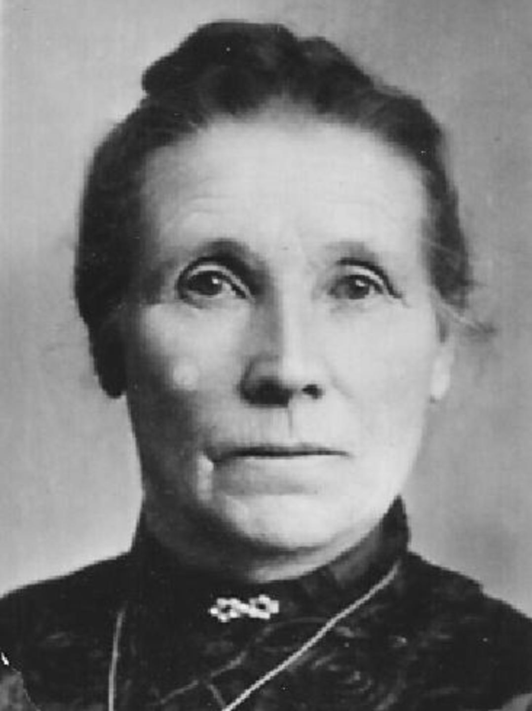 Hannah Pehrsson Nilsson (1843 - 1940) Profile